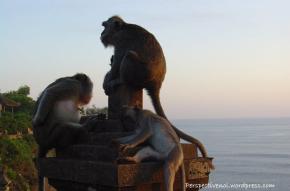 Bali - templul cu maimute